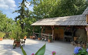 Anano'S Guesthouse